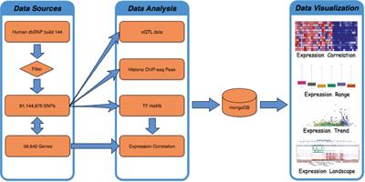 FeatSNP: An Interactive Database for Brain-Specific Epigenetic Annotation of Human SNPs